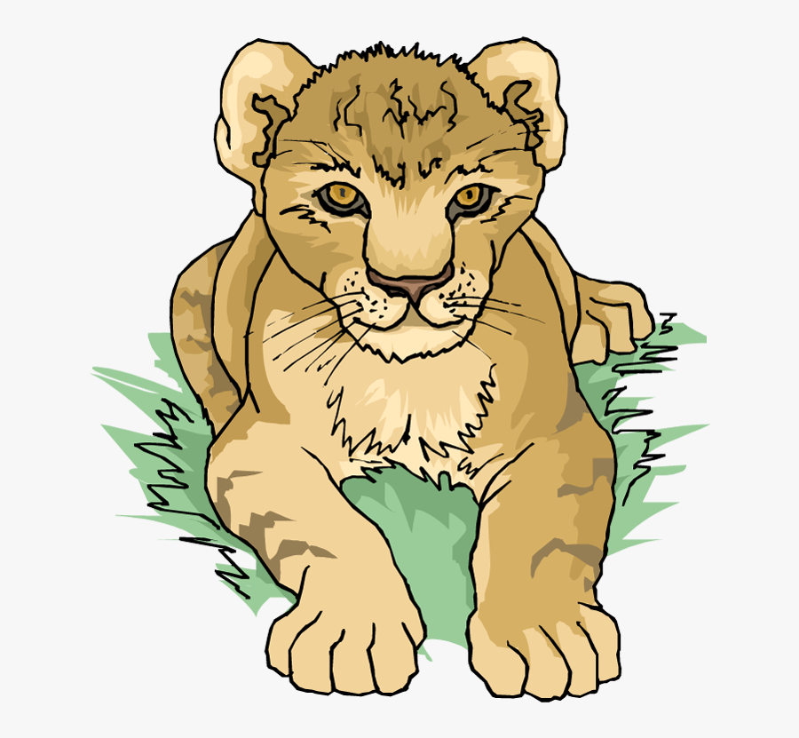 Free Lion Clipart - Lion Cub Coloring Pages, Transparent Clipart