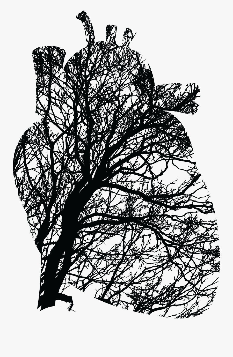 Anatomy Of The Heart Clipart - Black And White Heart Tree, Transparent Clipart