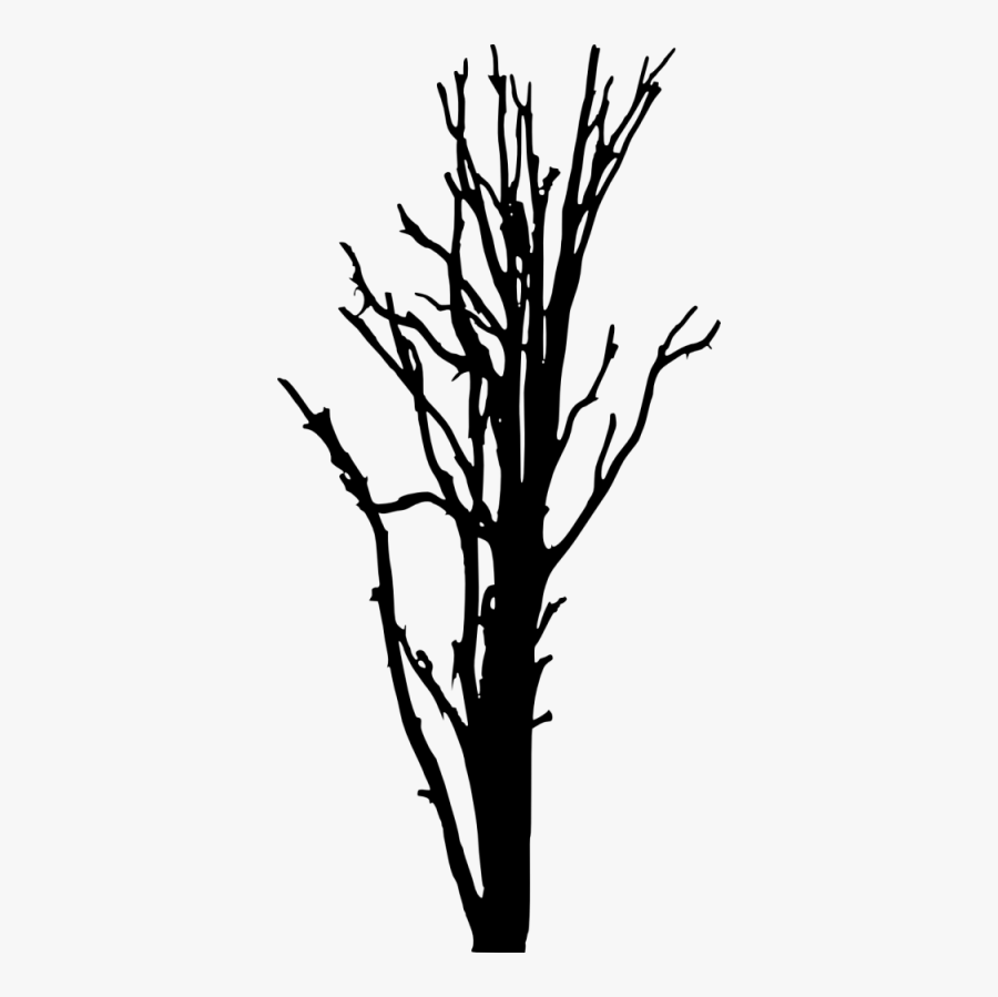 Dead Tree Silhouette - Transparent Dead Tree Silhouette, Transparent Clipart