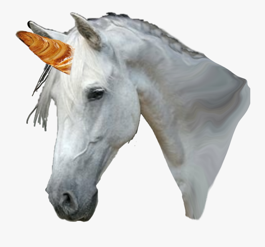 Croissant Is The Horn Of The Unicorn - Stallion, Transparent Clipart