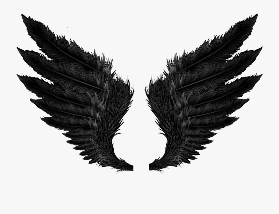 Black Evil Wings Png - Wings Hd Png, Transparent Clipart