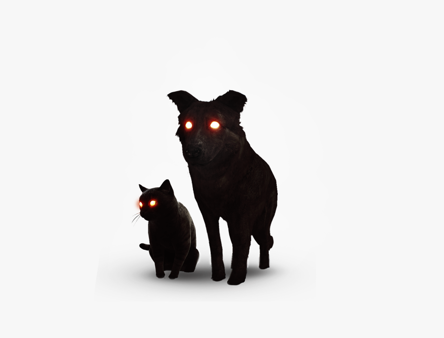 Transparent Evil Cat Clipart - Black Cat Witcher 3, Transparent Clipart