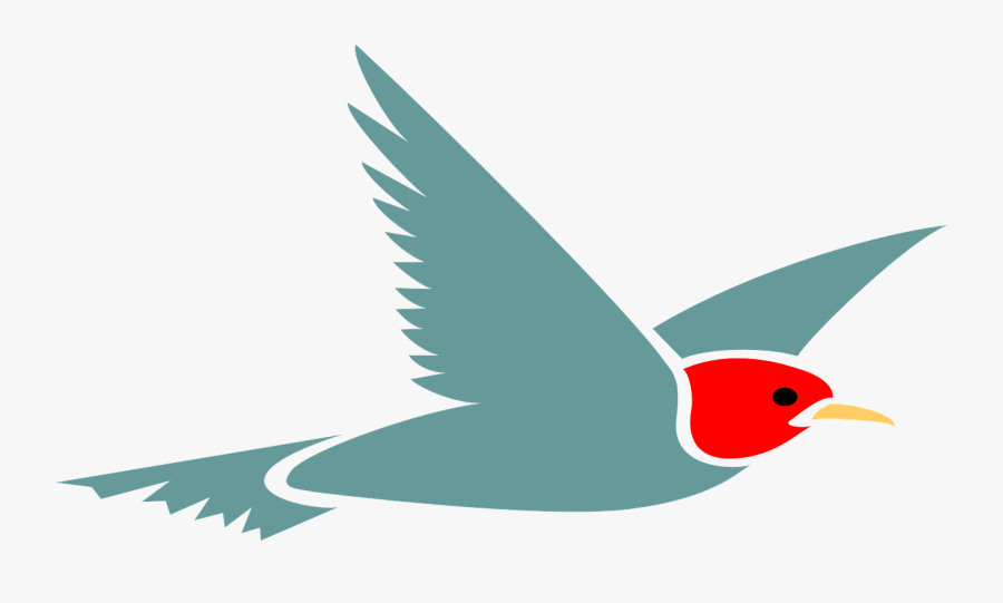 Pigeon Clipart Air Animal - Clip Art Flying Bird, Transparent Clipart