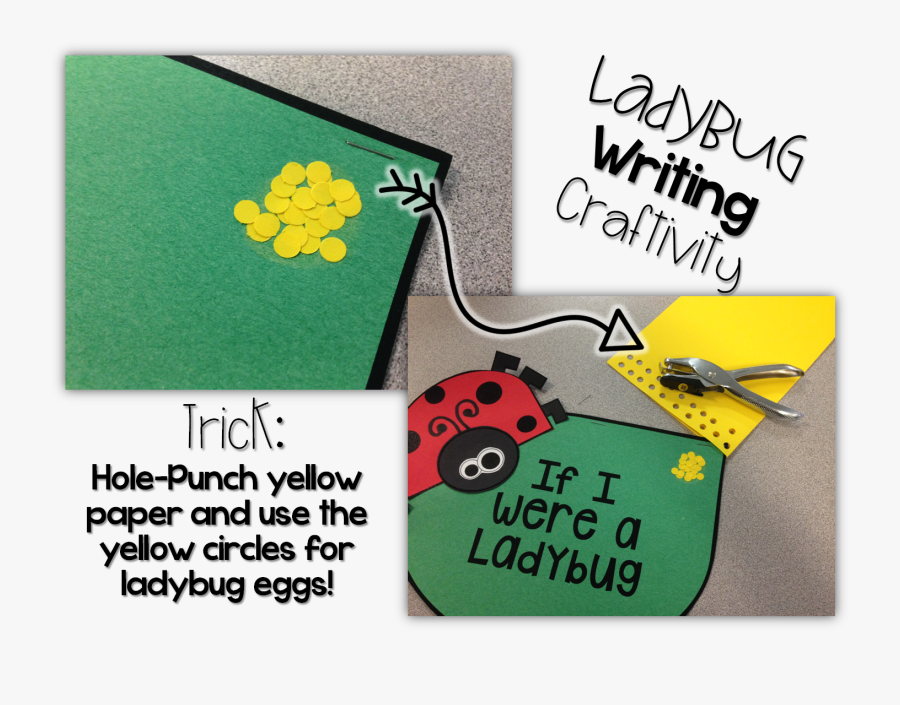 Transparent Butterfly Life Cycle Clipart - Ladybug, Transparent Clipart