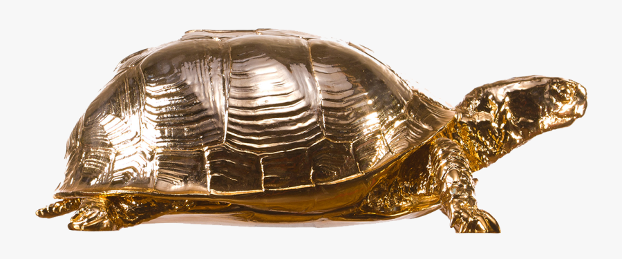 Download Box Turtle Png Picture - Gold Tortoise Sculpture, Transparent Clipart