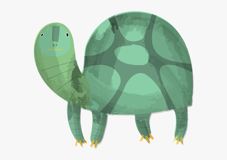 Marine Invertebrates, Transparent Clipart