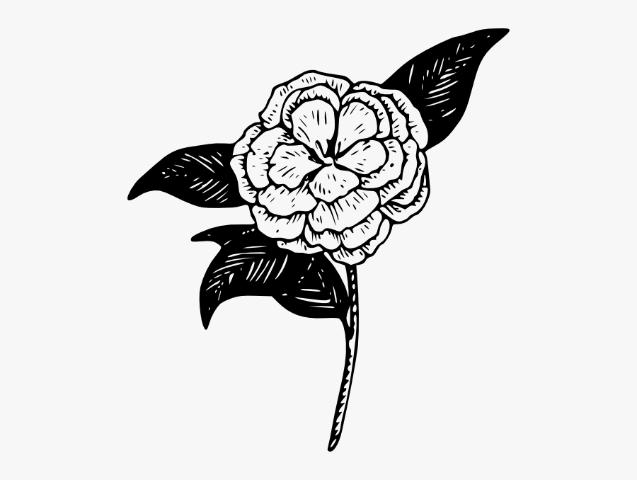 Png Royalty Free Library Confusing Drawing Purity - Camellia Clipart, Transparent Clipart