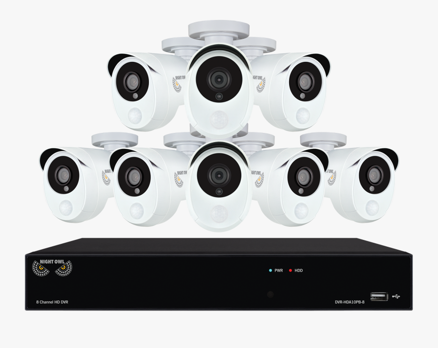 Night Owl, Transparent Clipart