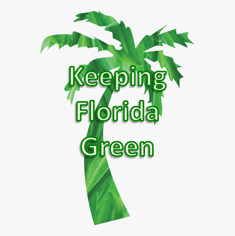 Tropical Beach [1] Ornament Clipart (594x825), Png - Palm, Transparent Clipart