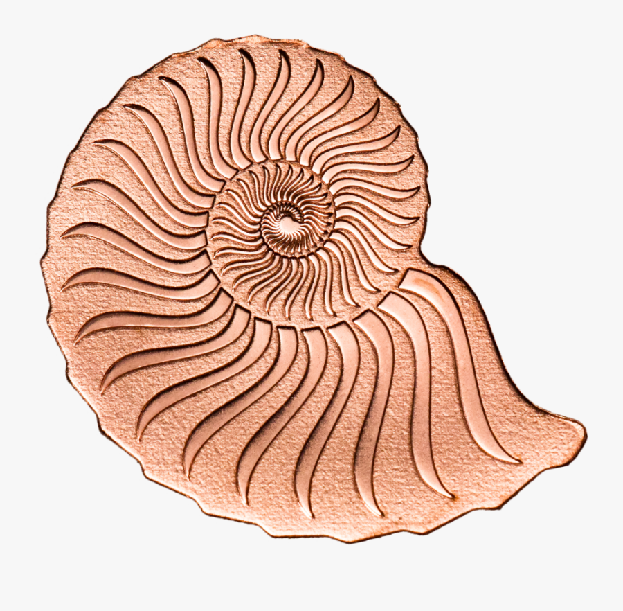 Ankit Seth Actor, Transparent Clipart