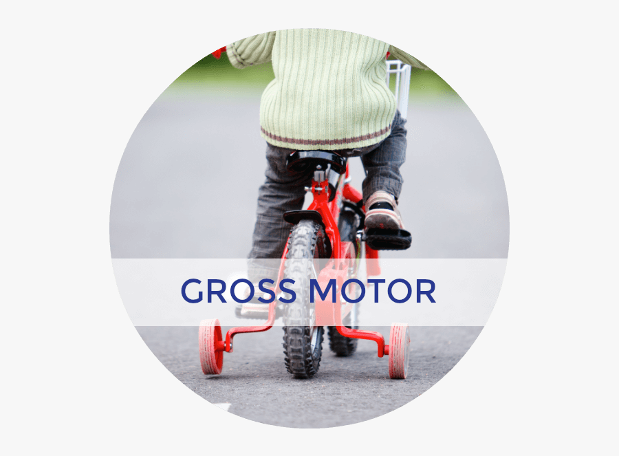 Stock Photography, Transparent Clipart