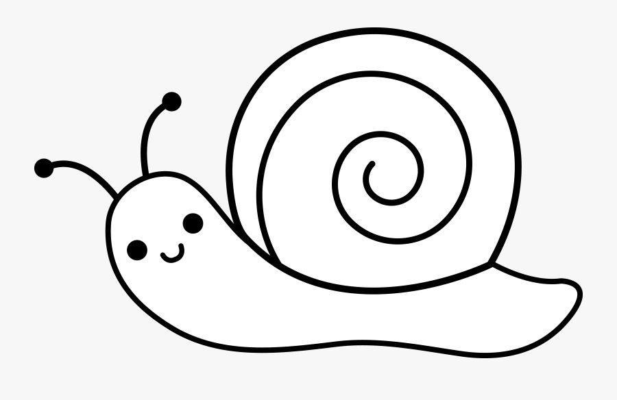 Cute Snail Lineart - Black And White Snail Clipart, Transparent Clipart