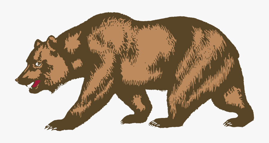 Grizzly Bear Clipart, Transparent Clipart