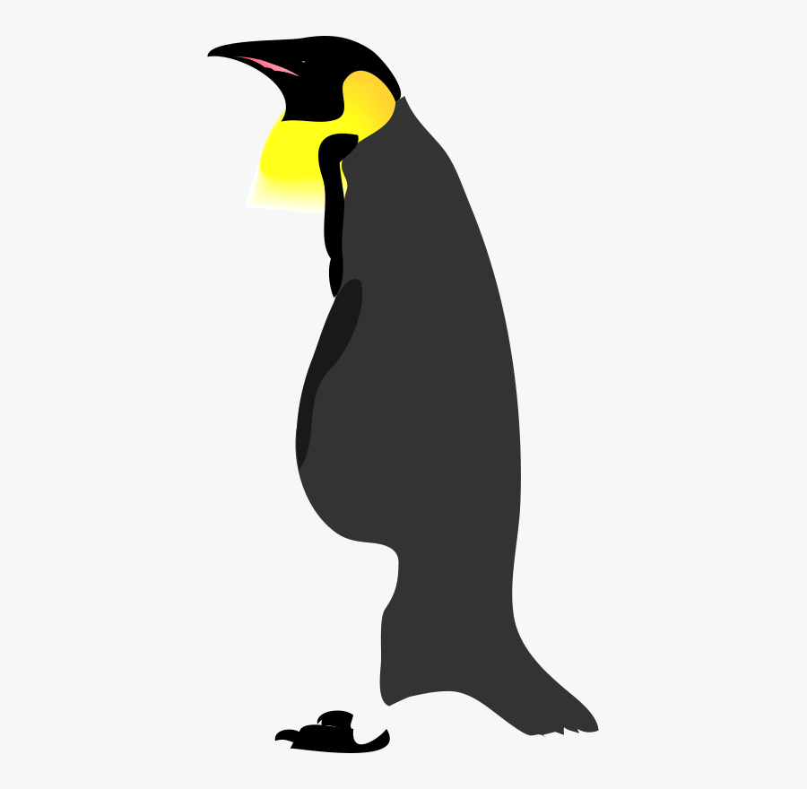 Gentoo Penguin Clip Art, Transparent Clipart
