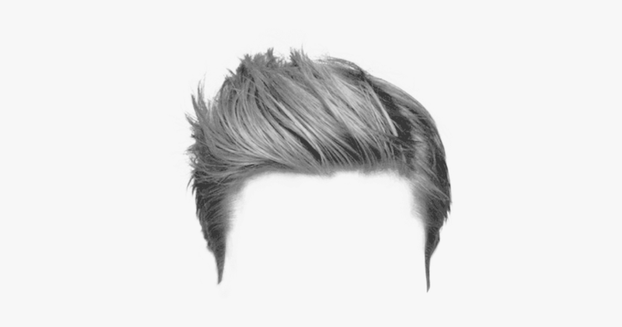 Hq Hair Png Transparent Hair Images - Hair Style Png, Transparent Clipart