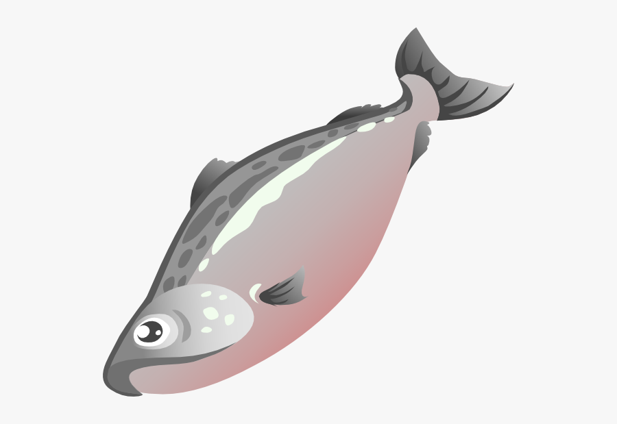 Salmon Clipart Png, Transparent Clipart