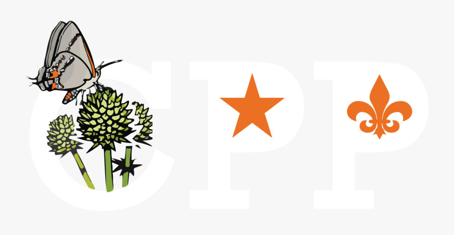 Species I D Class - Illustration, Transparent Clipart