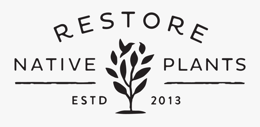 Calligraphy, Transparent Clipart