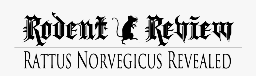 Legendary Rat, G-nibble, Aka Rattus Norvegicus, Tells - Rose, Transparent Clipart