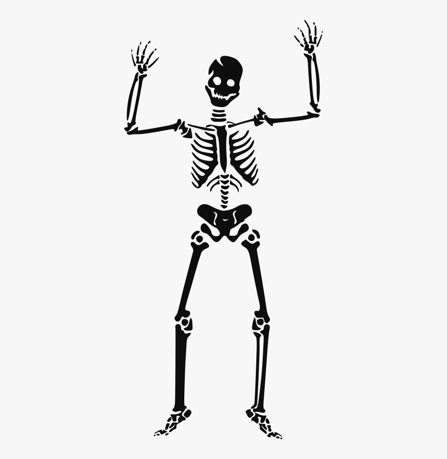 Skeletons Gallery Isolated Stock - Halloween Skeleton Clipart, Transparent Clipart