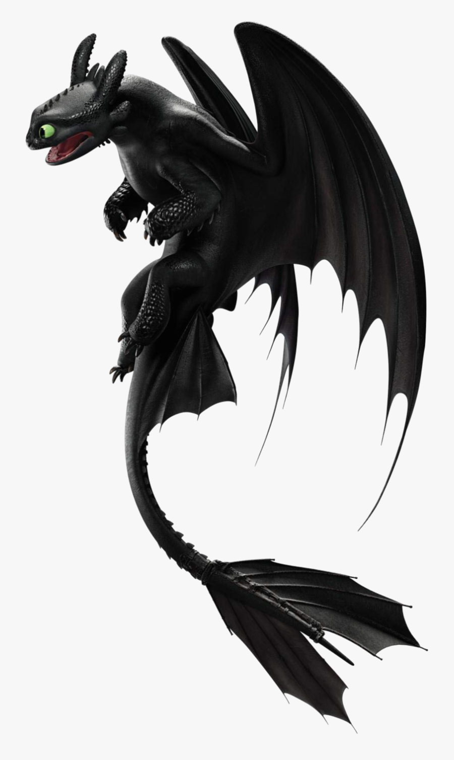 Night Fury Png - Toothless And Light Fury, Transparent Clipart