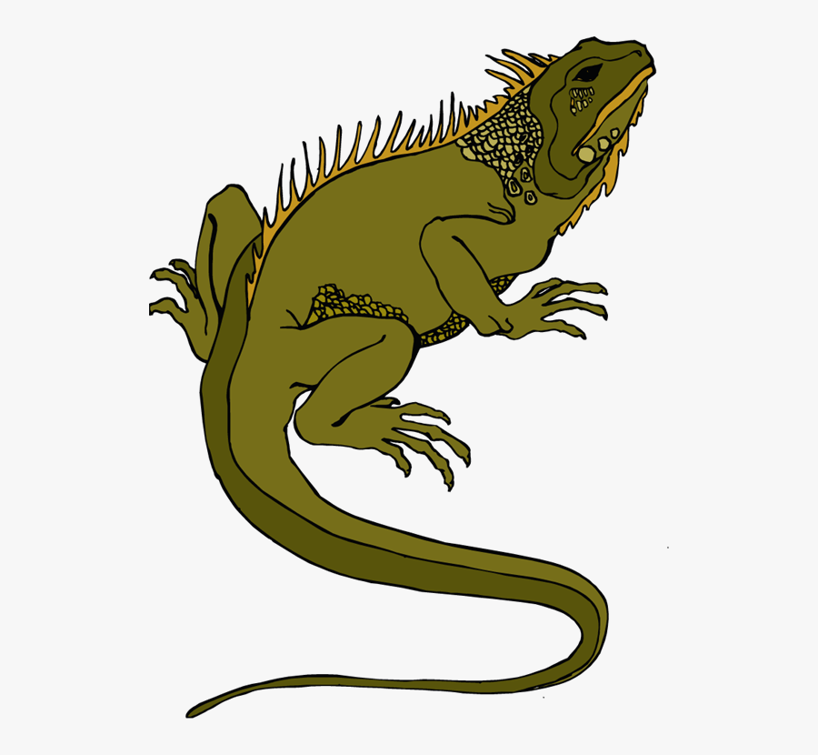 Clip Art Reptiles - Horned Lizard Clipart, Transparent Clipart