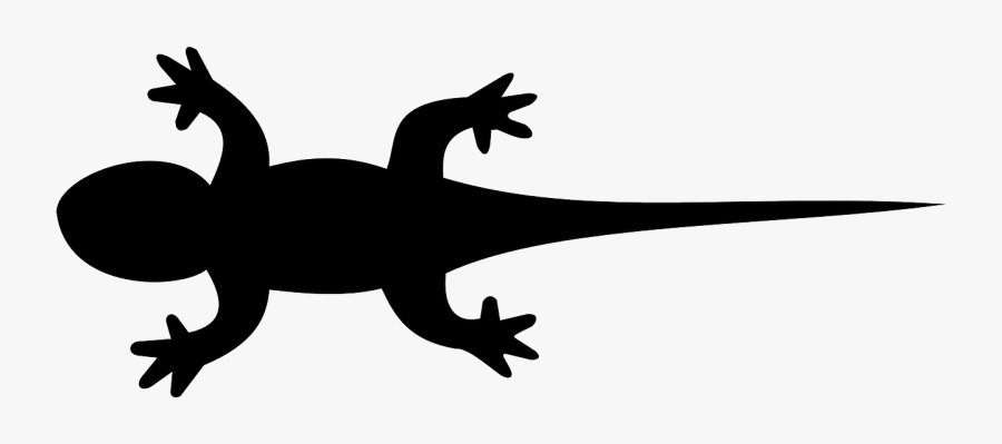 Iguana Clipart Newt - Lizard Black Clipart, Transparent Clipart