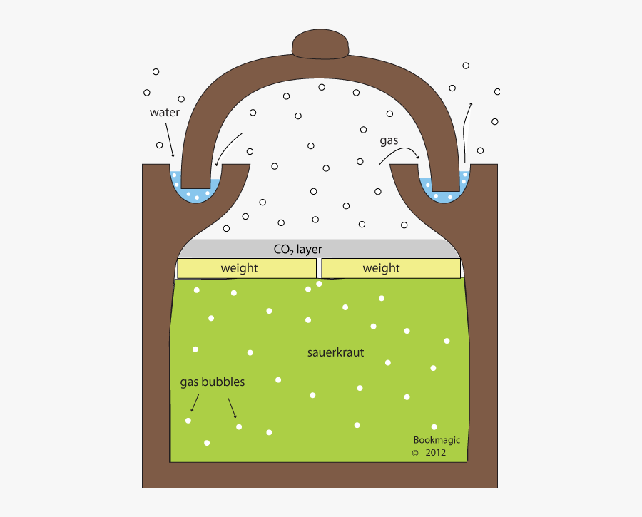 Fermenting Clay Crocks Sauerkraut - Fermentation Sauerkraut, Transparent Clipart
