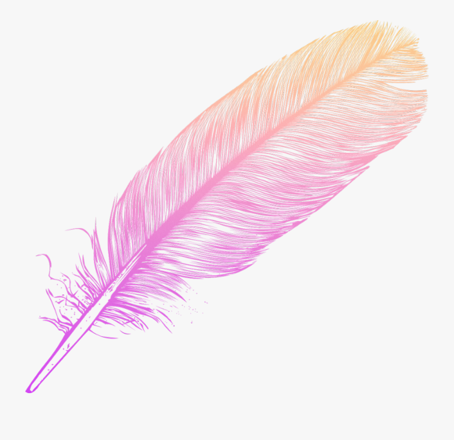 #ombre #feather #feathers #native #boho #pretty #decals - Blue Feather, Transparent Clipart