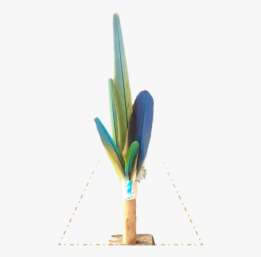 Transparent Boho Feather Png - Grass, Transparent Clipart