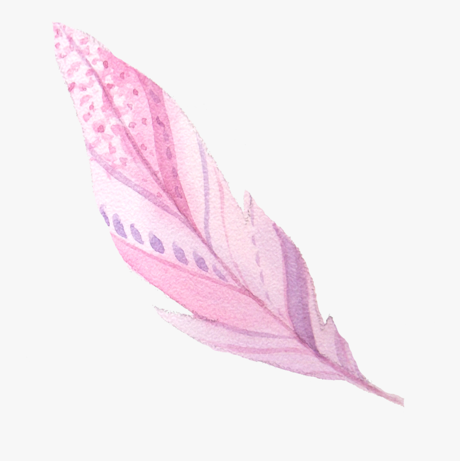 #feather #boho #bohofeather #feathersticker #featherdesign - Close-up, Transparent Clipart