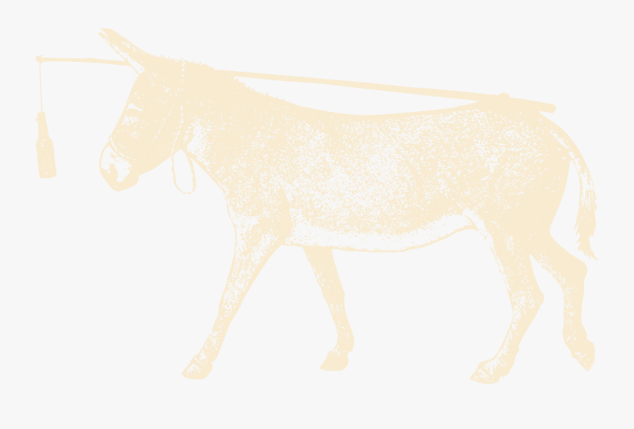 Donkey Carrot, Transparent Clipart