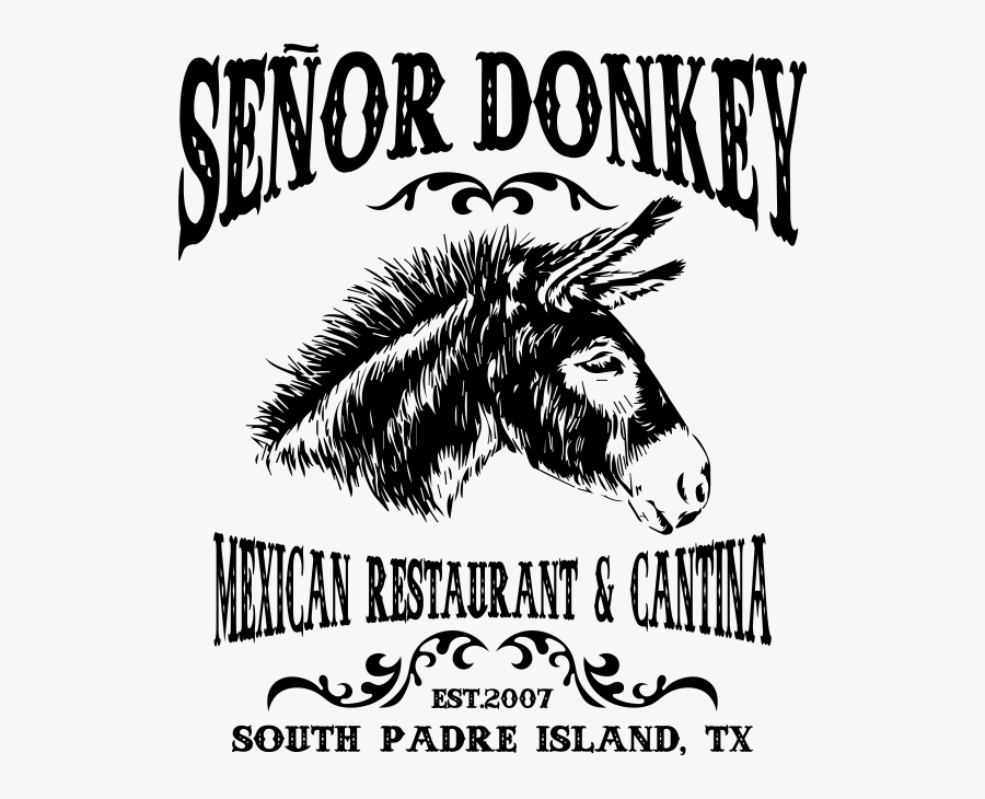 South Padre Island - Burro, Transparent Clipart