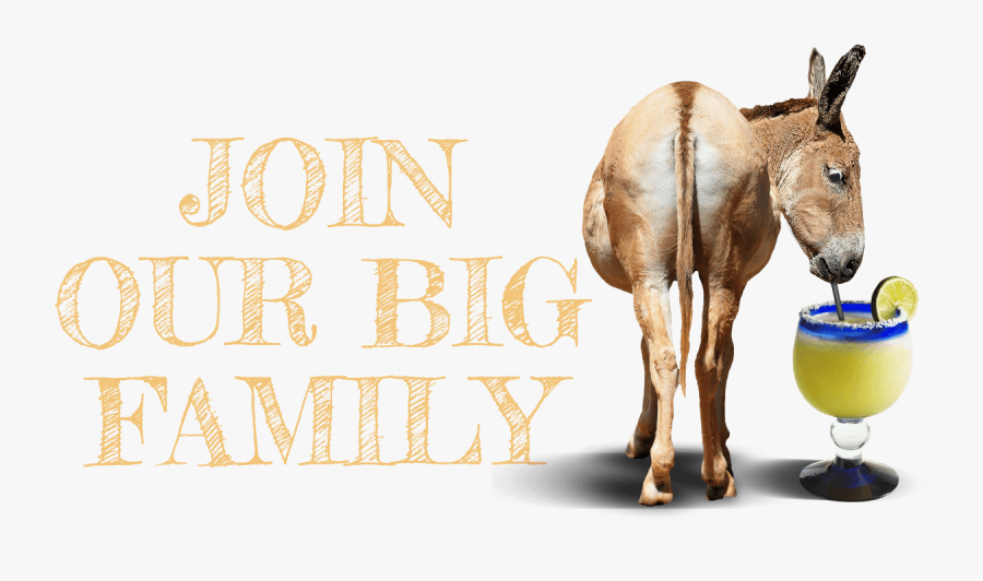 Join Our Big Ass Family - Sorrel, Transparent Clipart