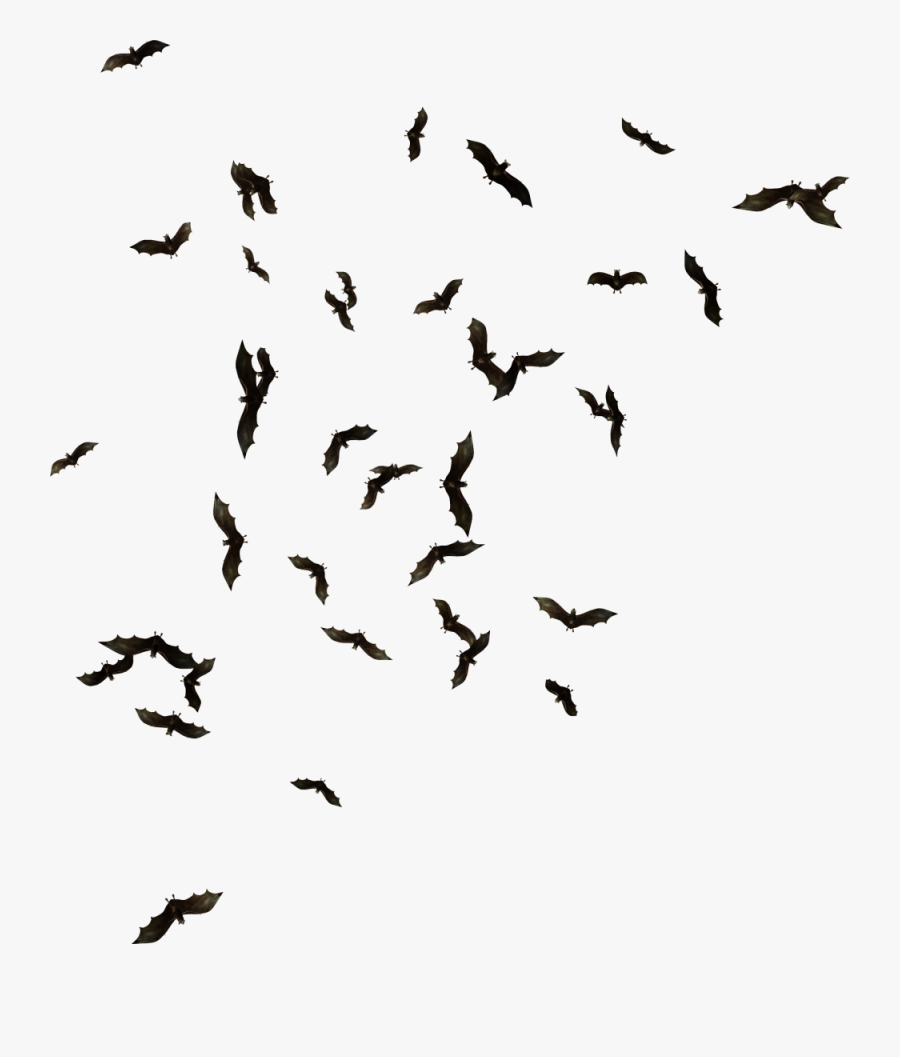 1000 X 1130 - Swarm Of Bats Png, Transparent Clipart