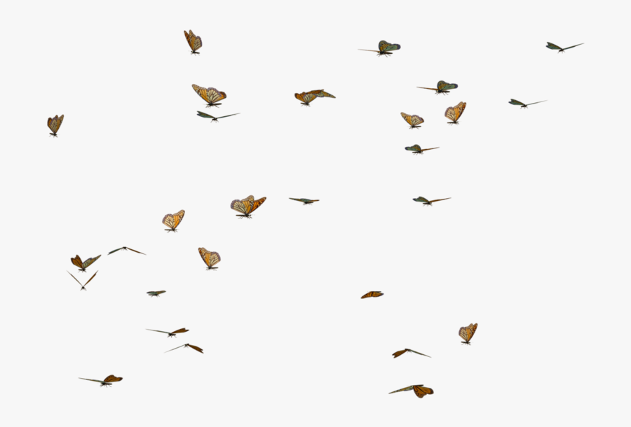 Butterfly Swarm Png, Transparent Clipart