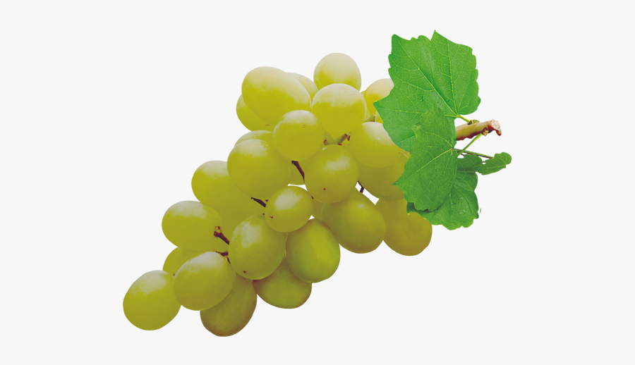 Juice Grapevines Clip Art - Grapes Png, Transparent Clipart