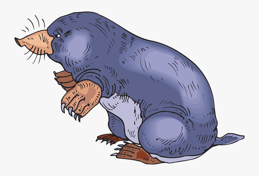 Mole Clipart - Clipart Mole, Transparent Clipart