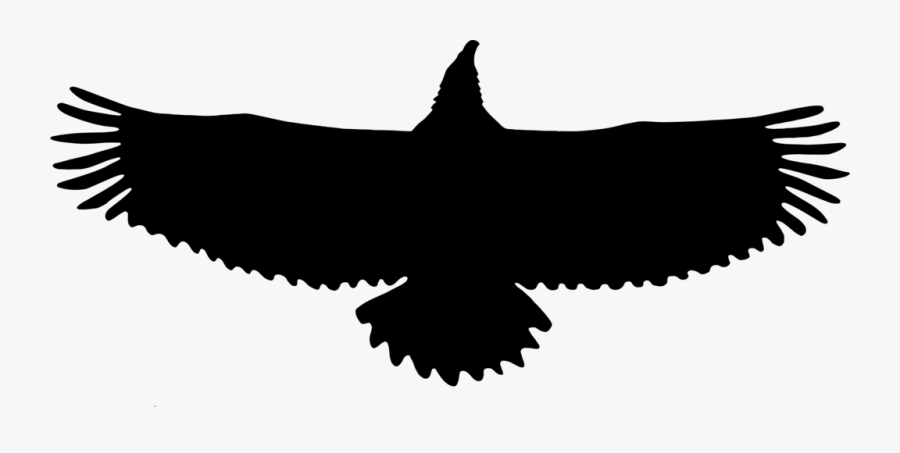Clip Art Silhouette Eagle, Transparent Clipart