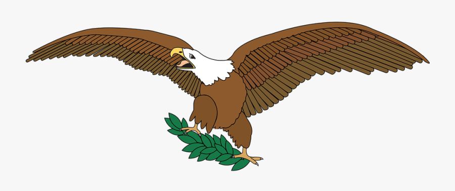 Eagle Plant Clipart, Transparent Clipart