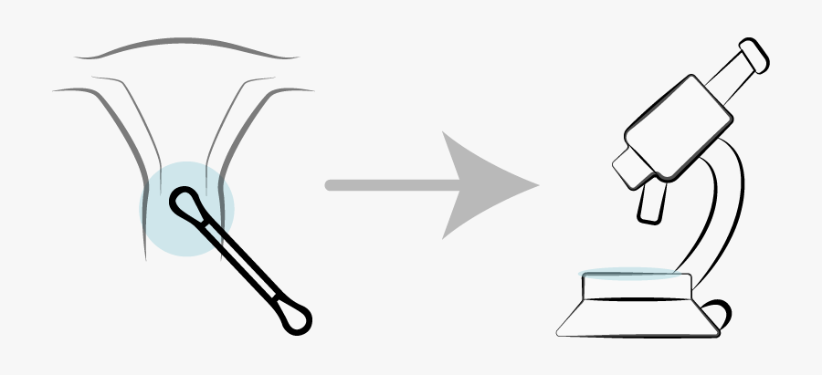 Test And Diagnosis-10, Transparent Clipart