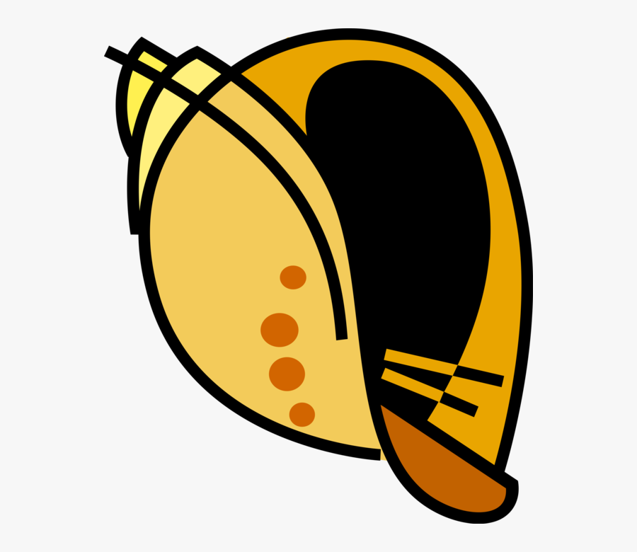 Sea Shells Image Illustration Of Aquatic Mollusk Clipart, Transparent Clipart