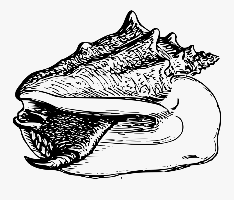 Line Art,head,art - Portable Network Graphics, Transparent Clipart