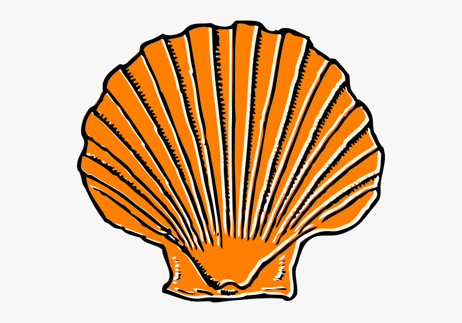 Orange Seashell Clipart, Transparent Clipart