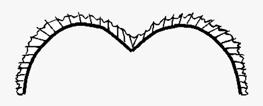 Bodice, Transparent Clipart