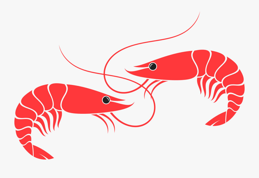Shrimp Vector Png, Transparent Clipart