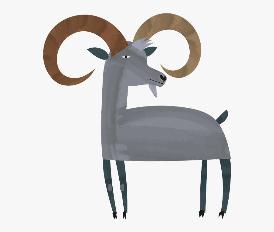 Argali, Transparent Clipart