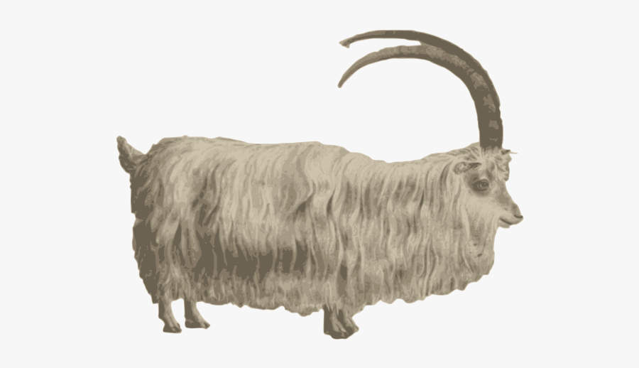 Mountain Goat Image - Mountain Goat Stock Vector, Transparent Clipart