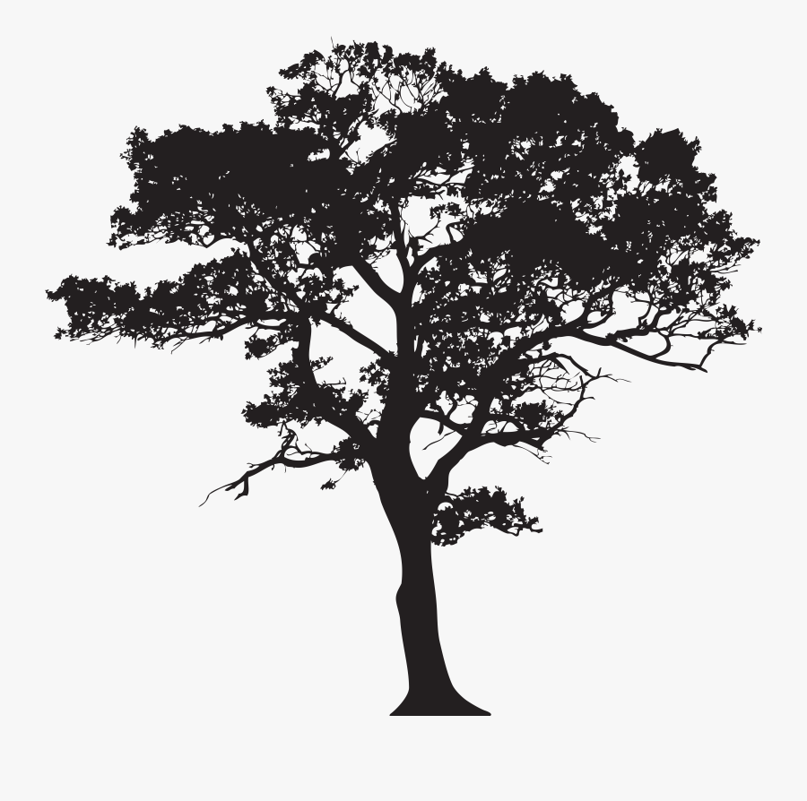 Silhouette Tree Clip Art, Transparent Clipart