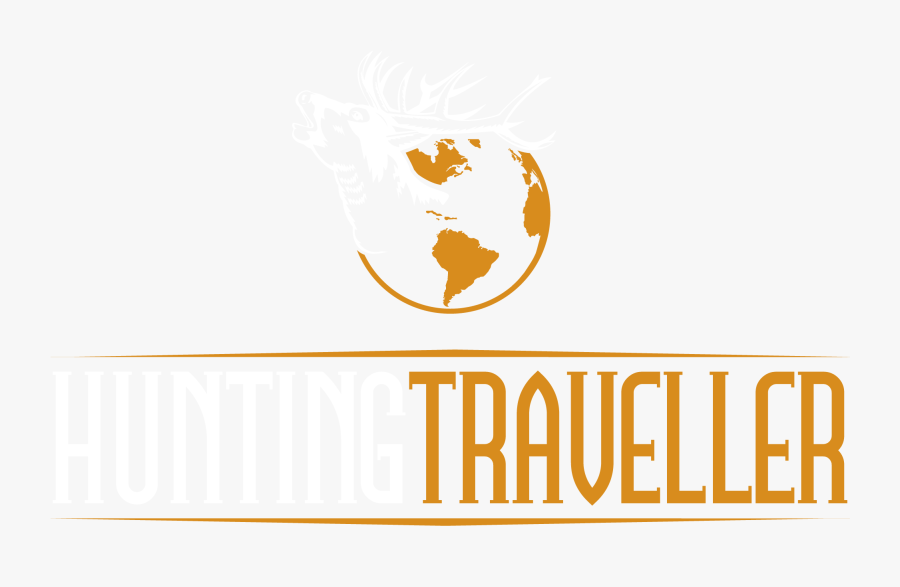 Graphic Design, Transparent Clipart